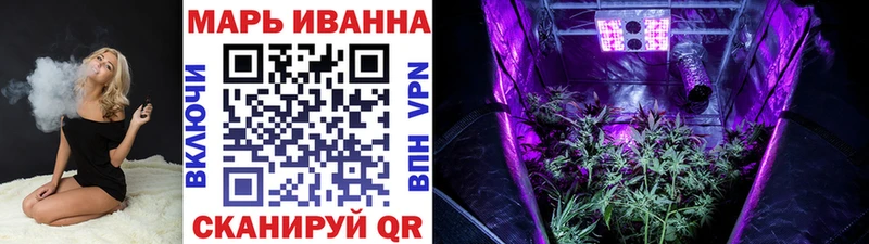 МЕФ Торжок