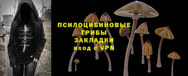 меф Болотное