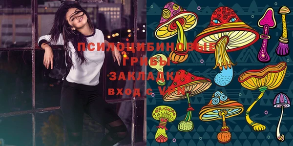 молекула духа Нефтегорск