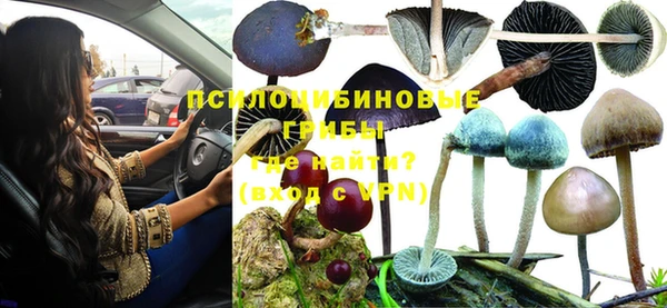 трава Нея