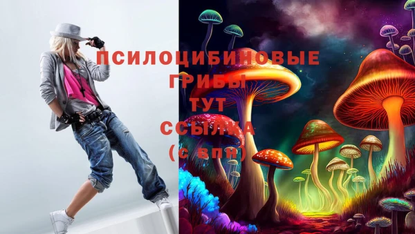 молекула духа Нефтегорск
