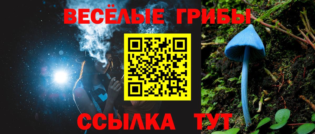 Галлюциногенные грибы Psilocybine cubensis  где можно купить   Галлюциногенные грибы мухоморы  Торжок  Вход с VPN 